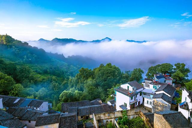 石潭村:安徽的一颗璀璨明珠 石潭村,深藏于安徽的大山深处,宛如一颗