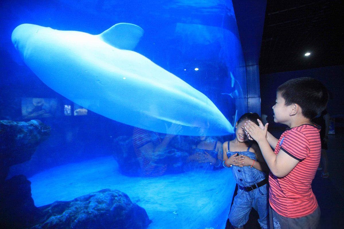 天津滨海新区:寻找你的旅游目的地 天津滨海新区是一个富饶的沿海地带