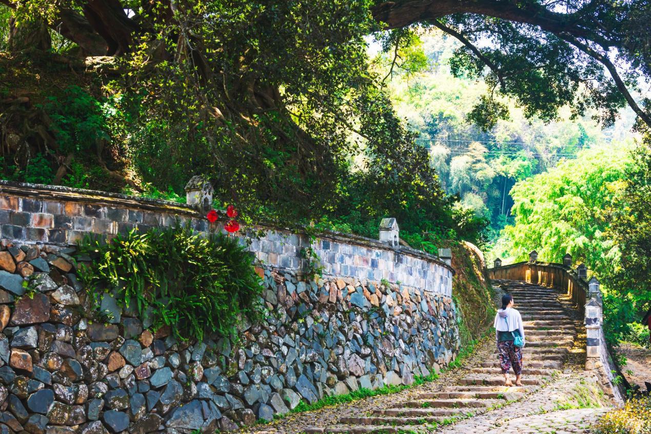 半月里:畲族文化的历史名村 半月里是一个被诗意包围的畲族古村落