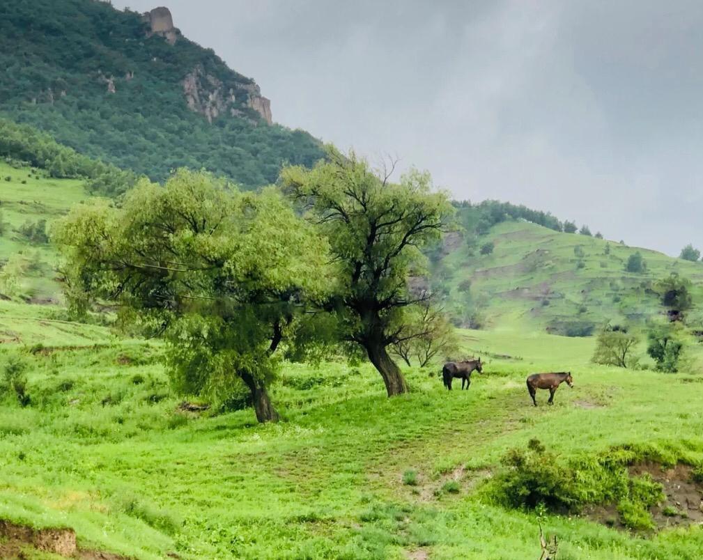 茶山村:世外桃源般的美景 河北张家口的茶山村,宛如世外桃源,隐藏在大