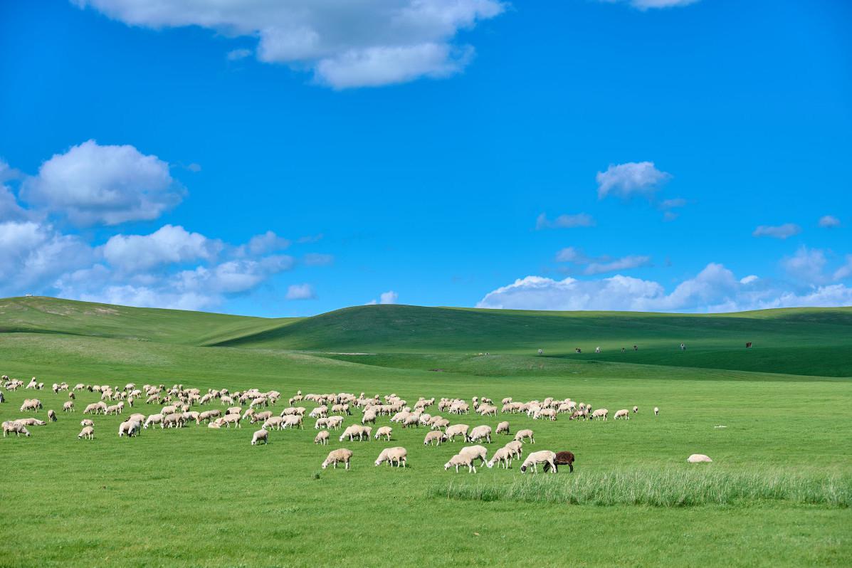 内蒙古草原是一个充满魅力和风情的地方,无论你是自然风光爱好者皇乔