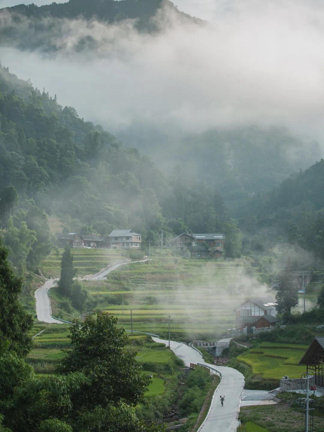 贵州梧桐山图片