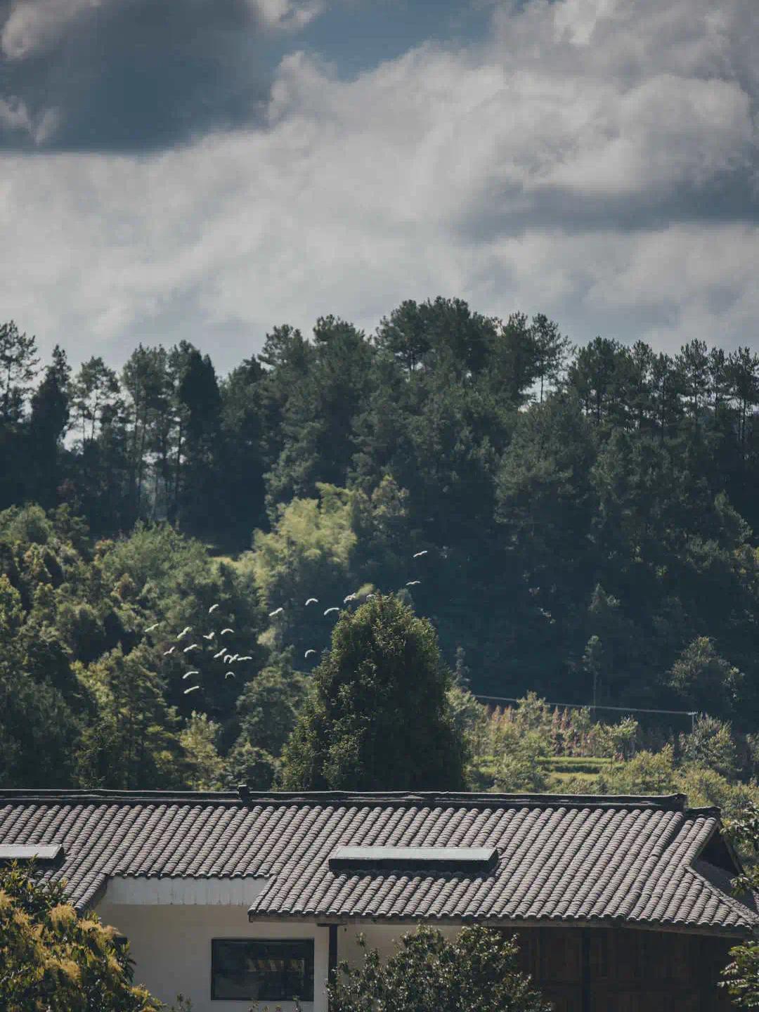 贵州梧桐山图片