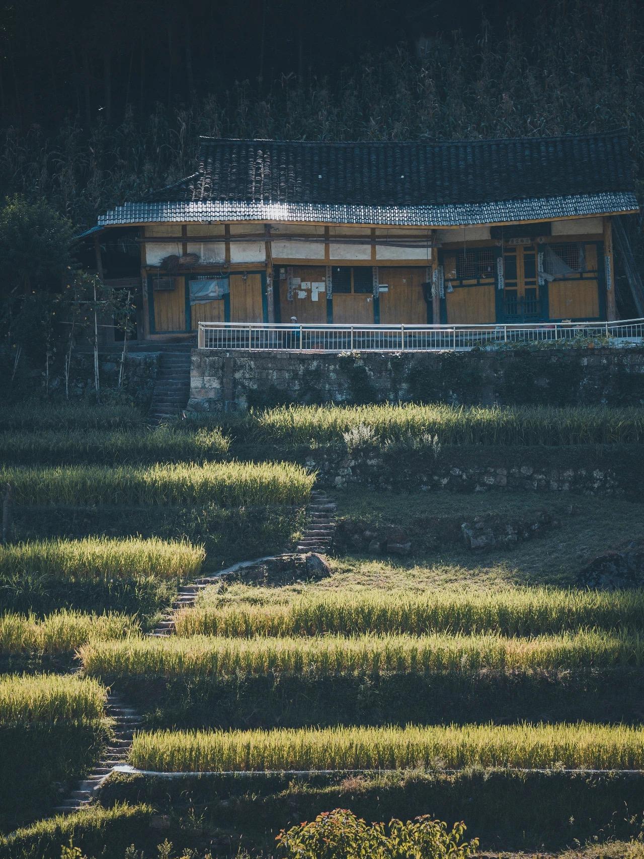 贵州梧桐山图片