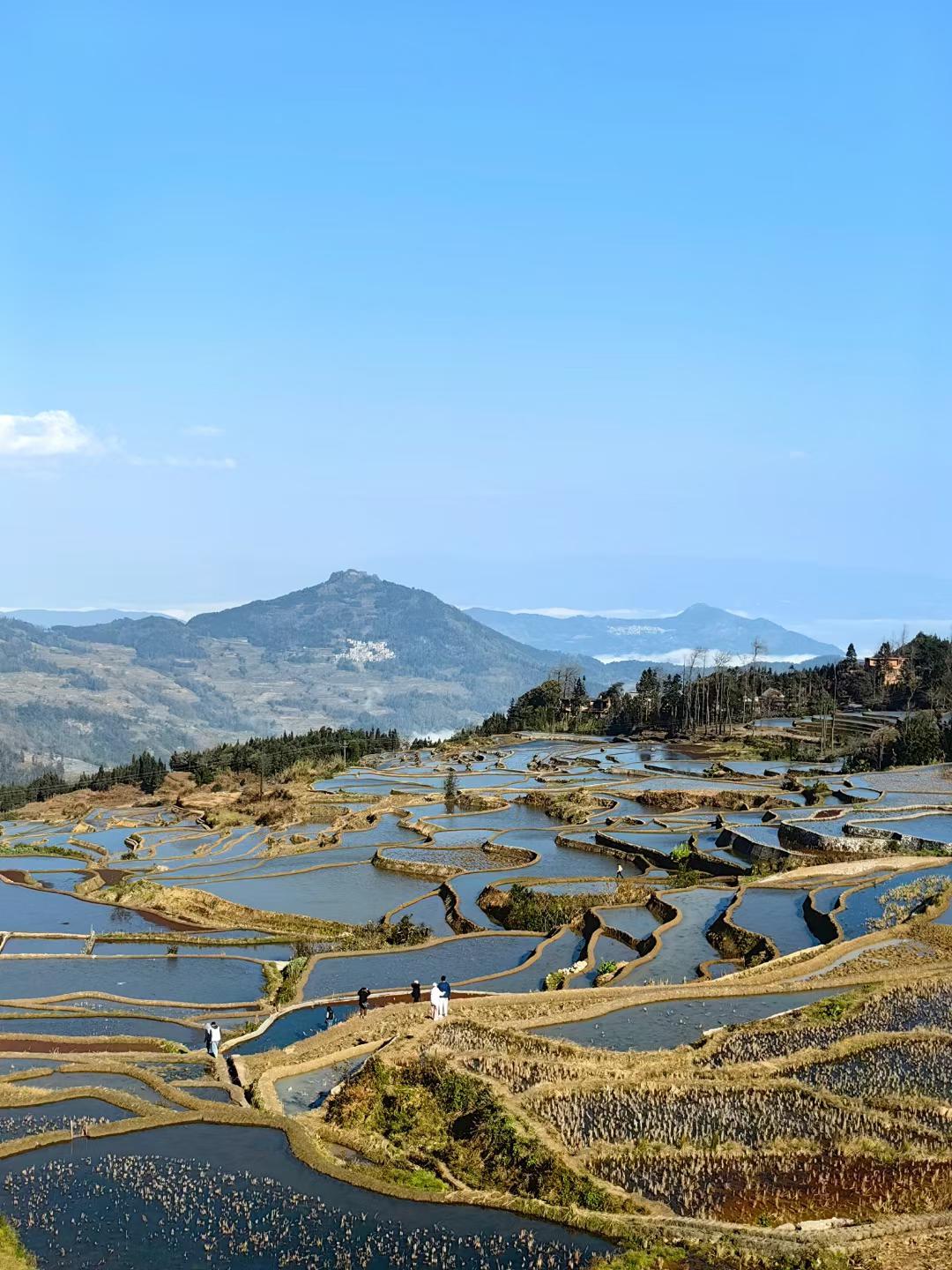 元阳哈尼梯田一日游图片