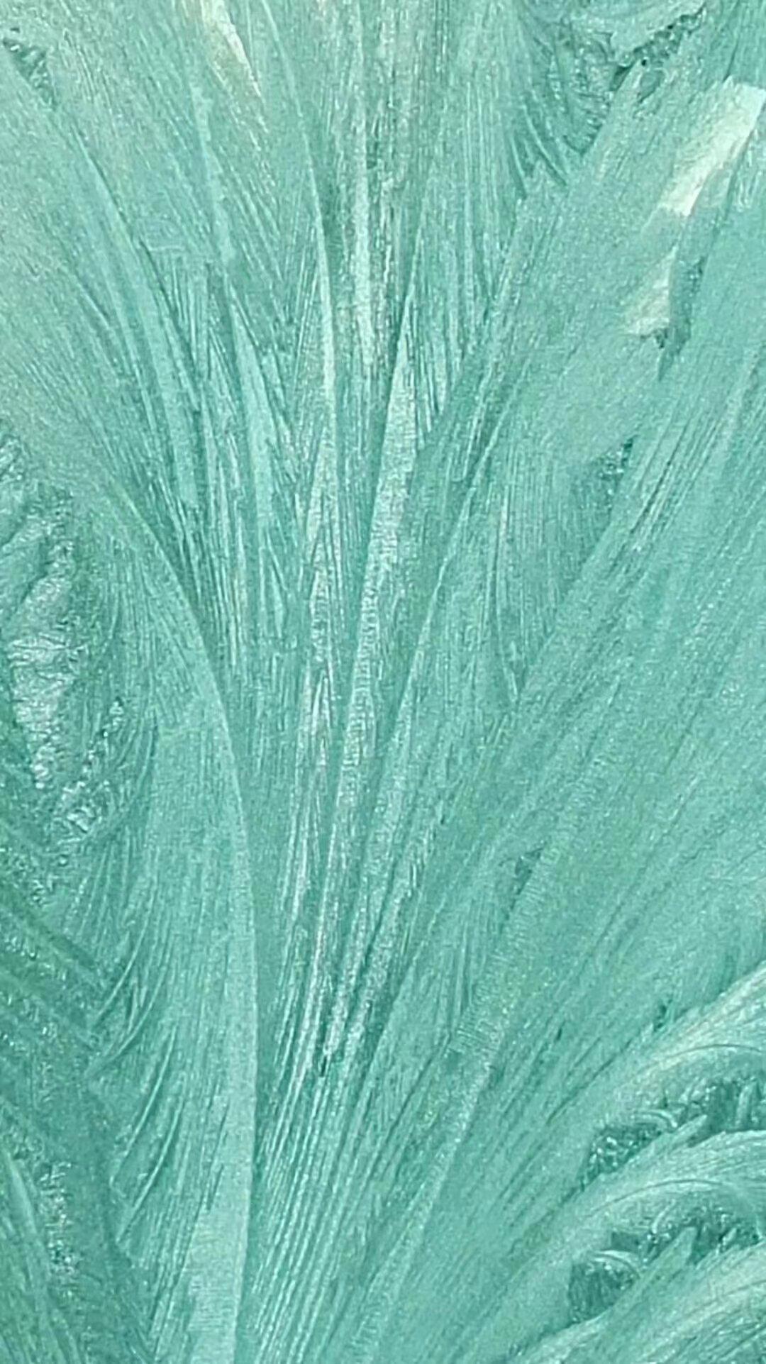 我们一同探寻这冰雪世界的奥秘,感受冰窗花的神奇魅力!