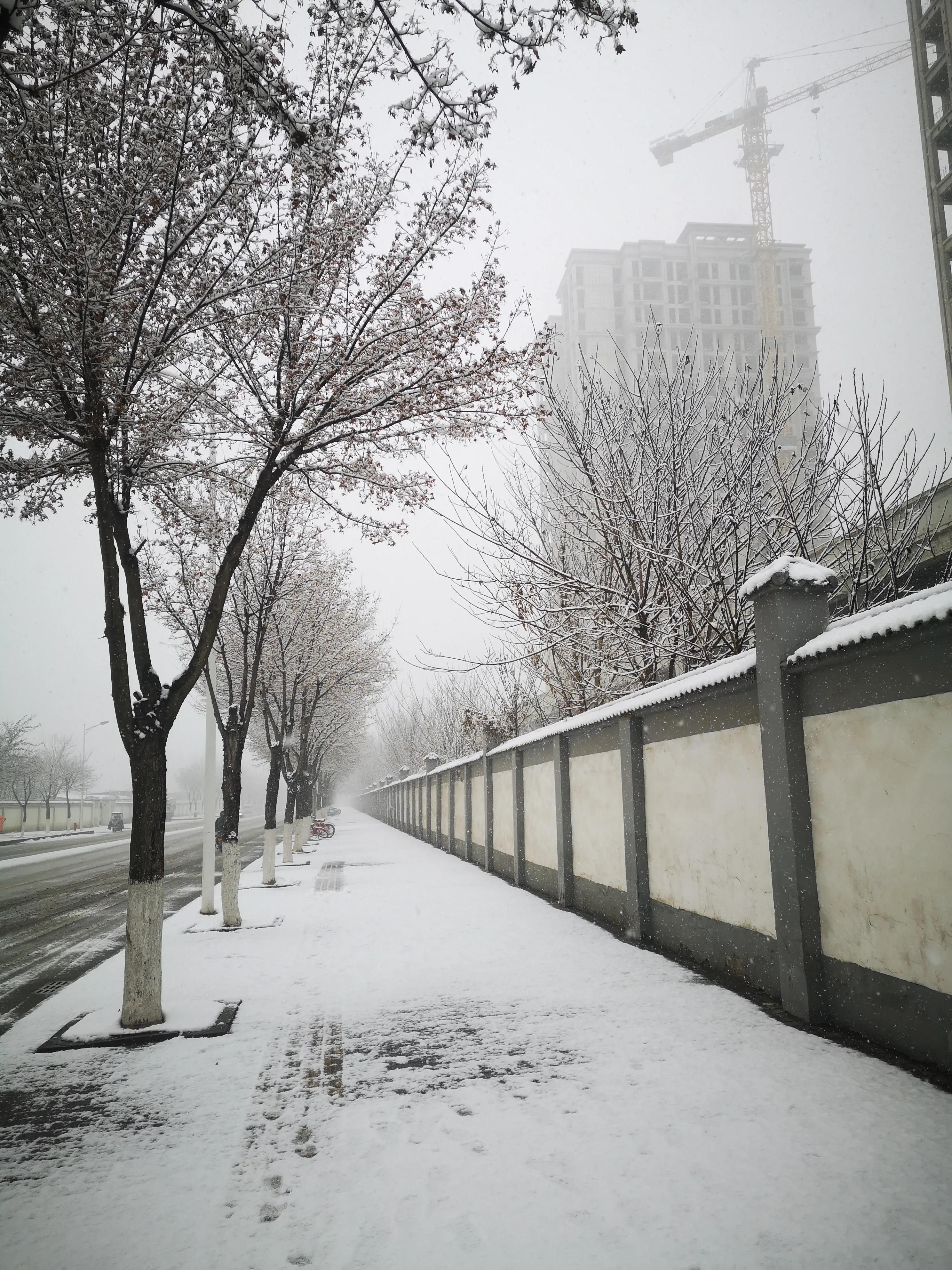 西安的雪,如同梦中的仙境,悄然而至.