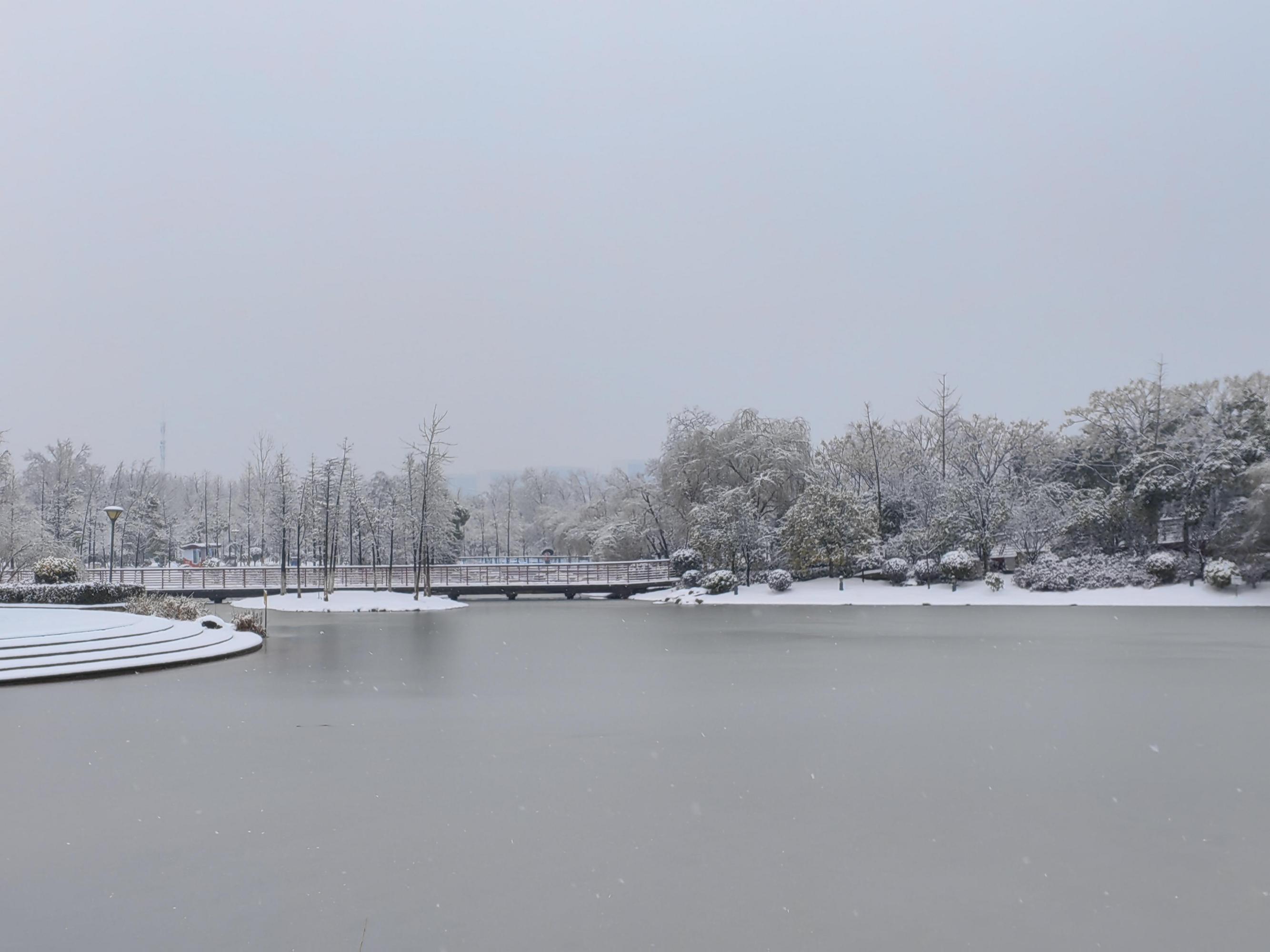 大运河森林公园雪景图片