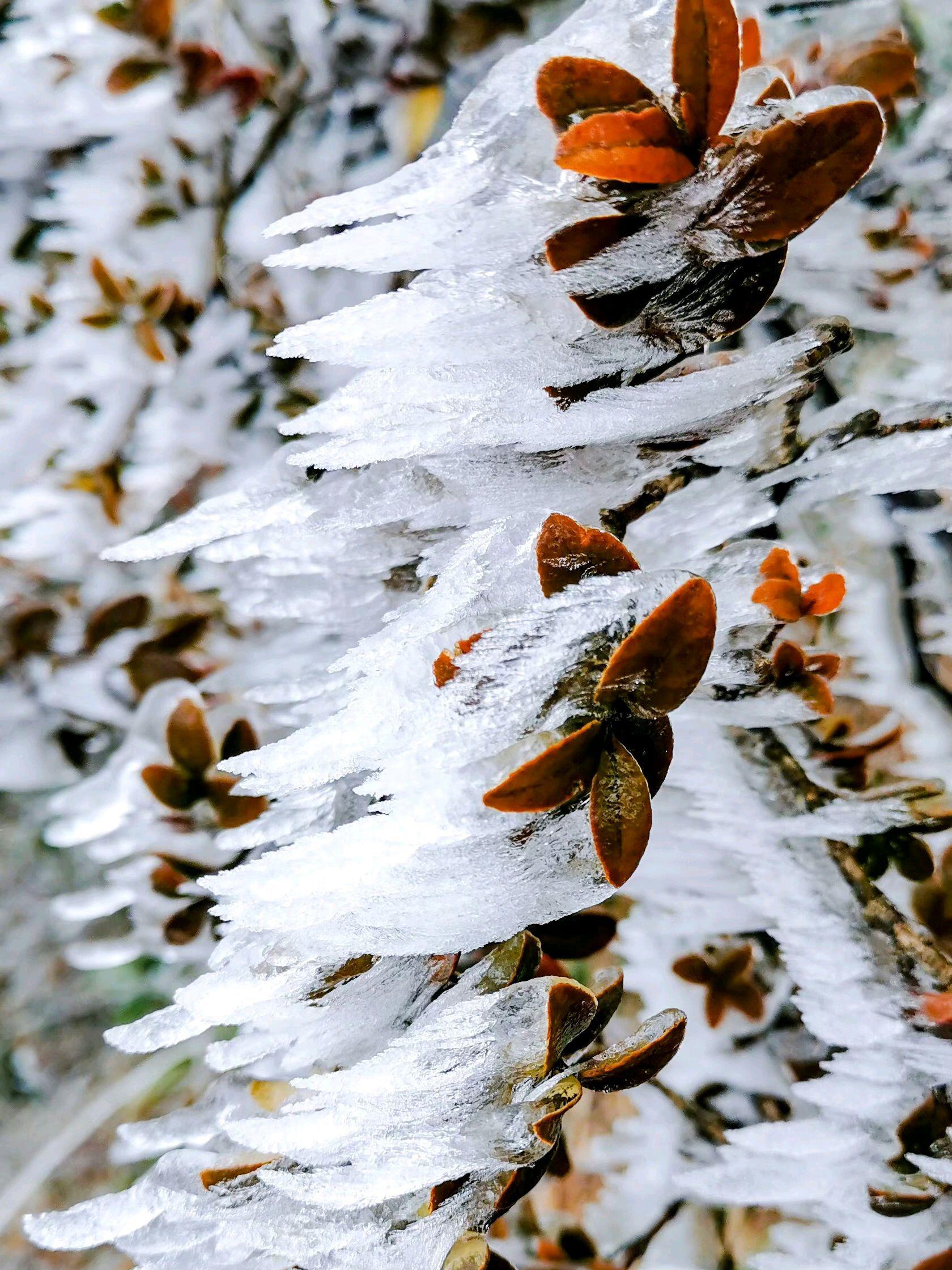 张家界冬天雪景图片图片