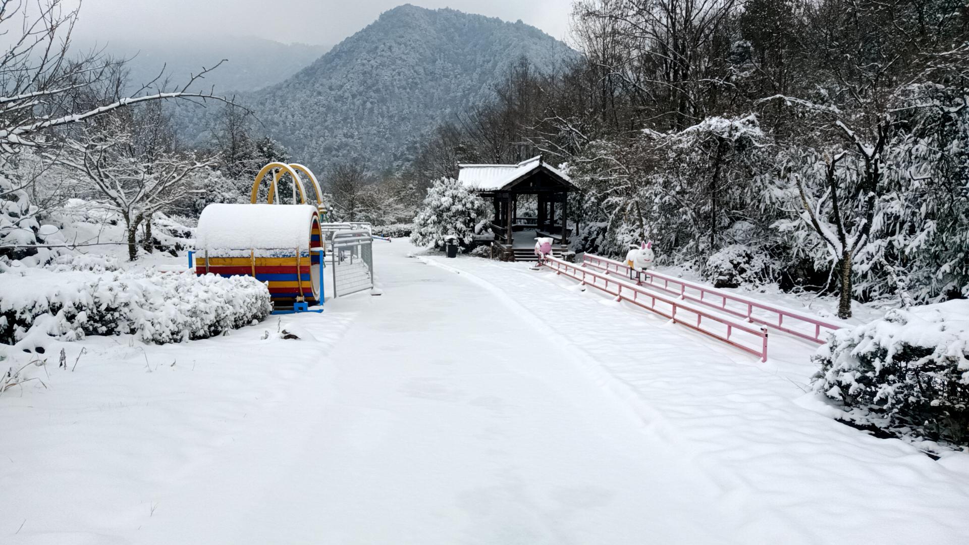 观赏雪景图片