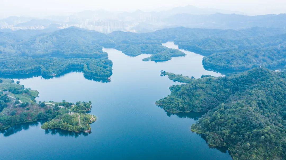 这里位于惠州的绿色肺腑,高榜山旁,红花湖景区内