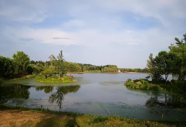 北京东郊湿地公园:城市的秘密绿洲 北京,这座充满古韵的城市,藏着一个