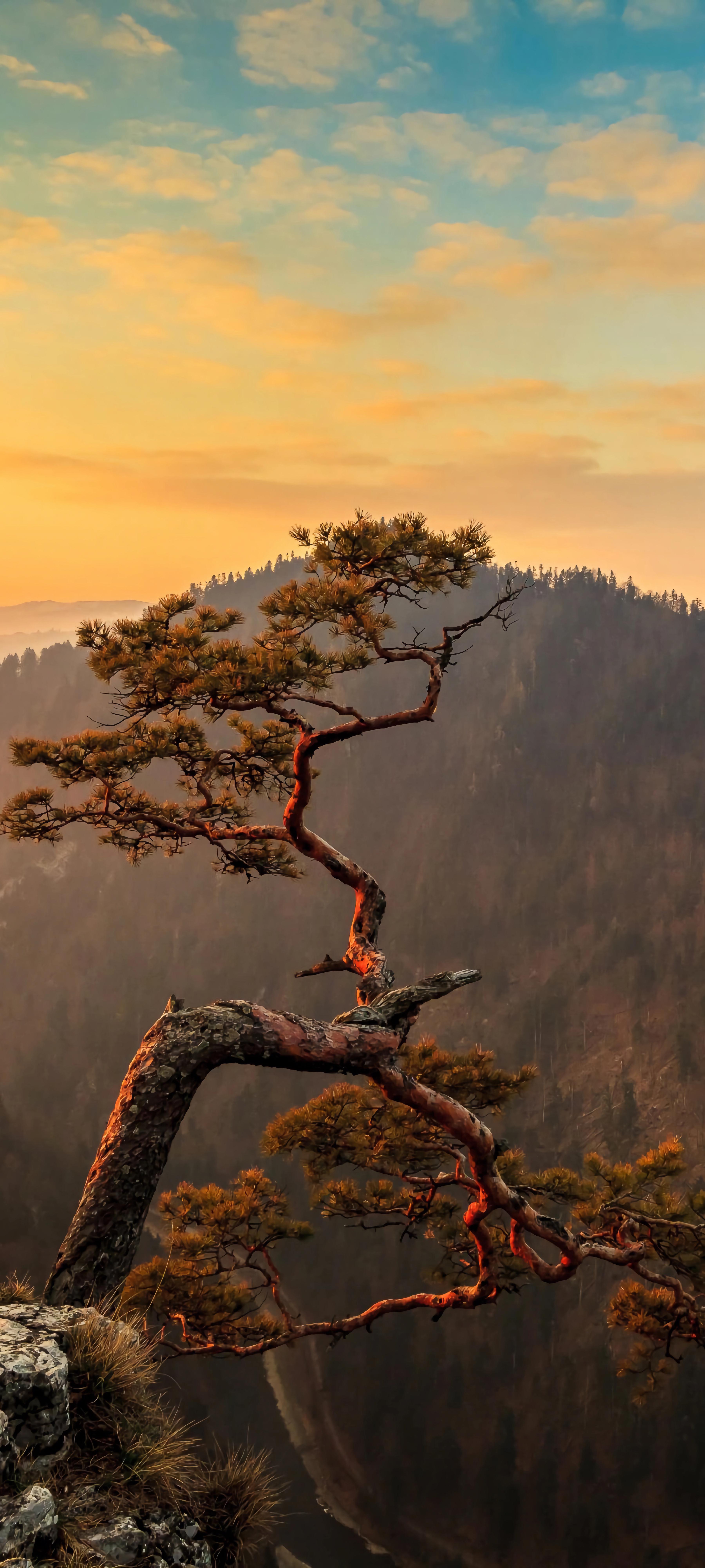 雄伟的高山图片