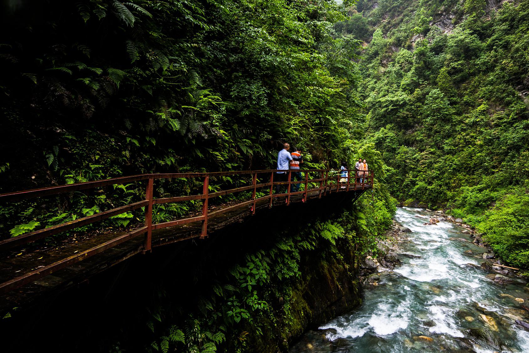 江西大觉山风景区简介图片