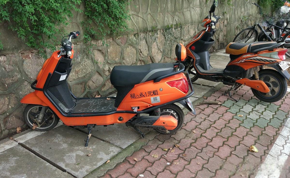 洛阳共享电动车尾灯,牡丹花绽放城市魅力 洛阳,这座千年古都,以牡丹