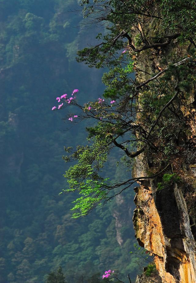 贺州姑婆山景点图片