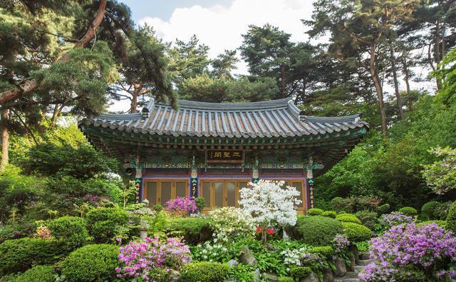 故宫博物院御花园:领略民族瑰宝与传统文化 故宫博物馆内的御园,是