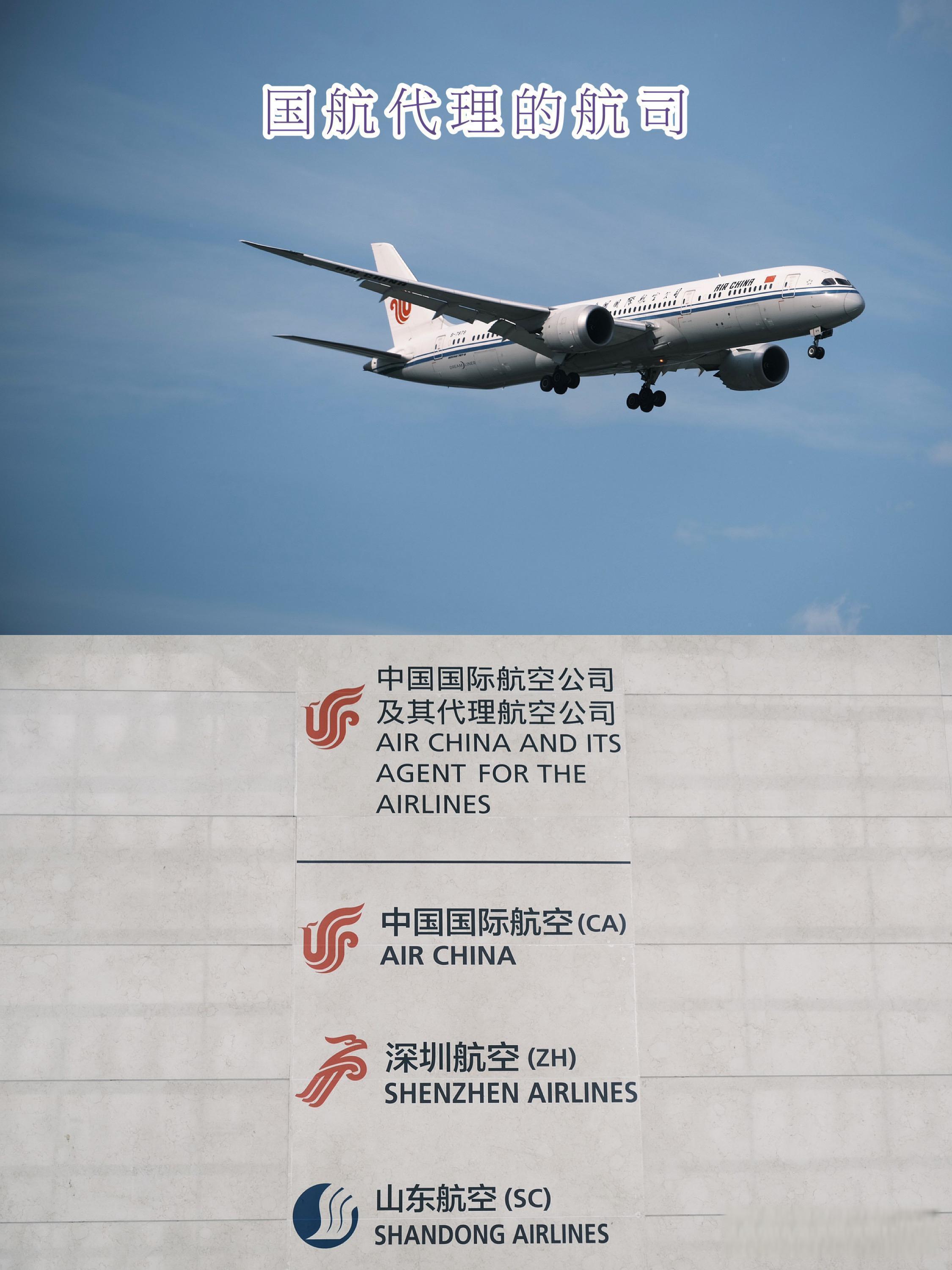 山东航空三角战略图片