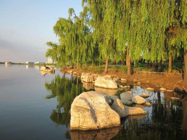 湖滨公园:杭州市中心的神秘仙境 湖滨公园,这个隐藏在杭州市中心,与