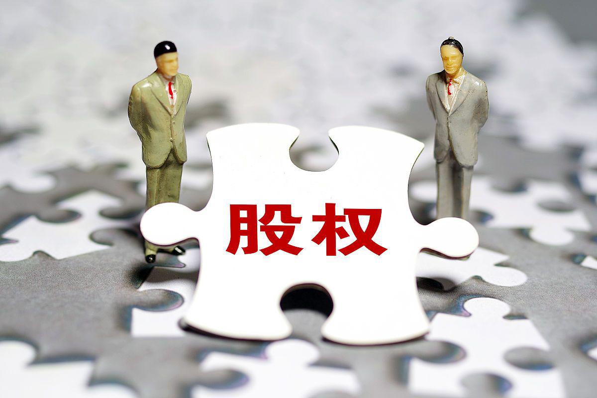 股权退出机制:投资者回报的关键策略 投资者在股权投资中,如何选择