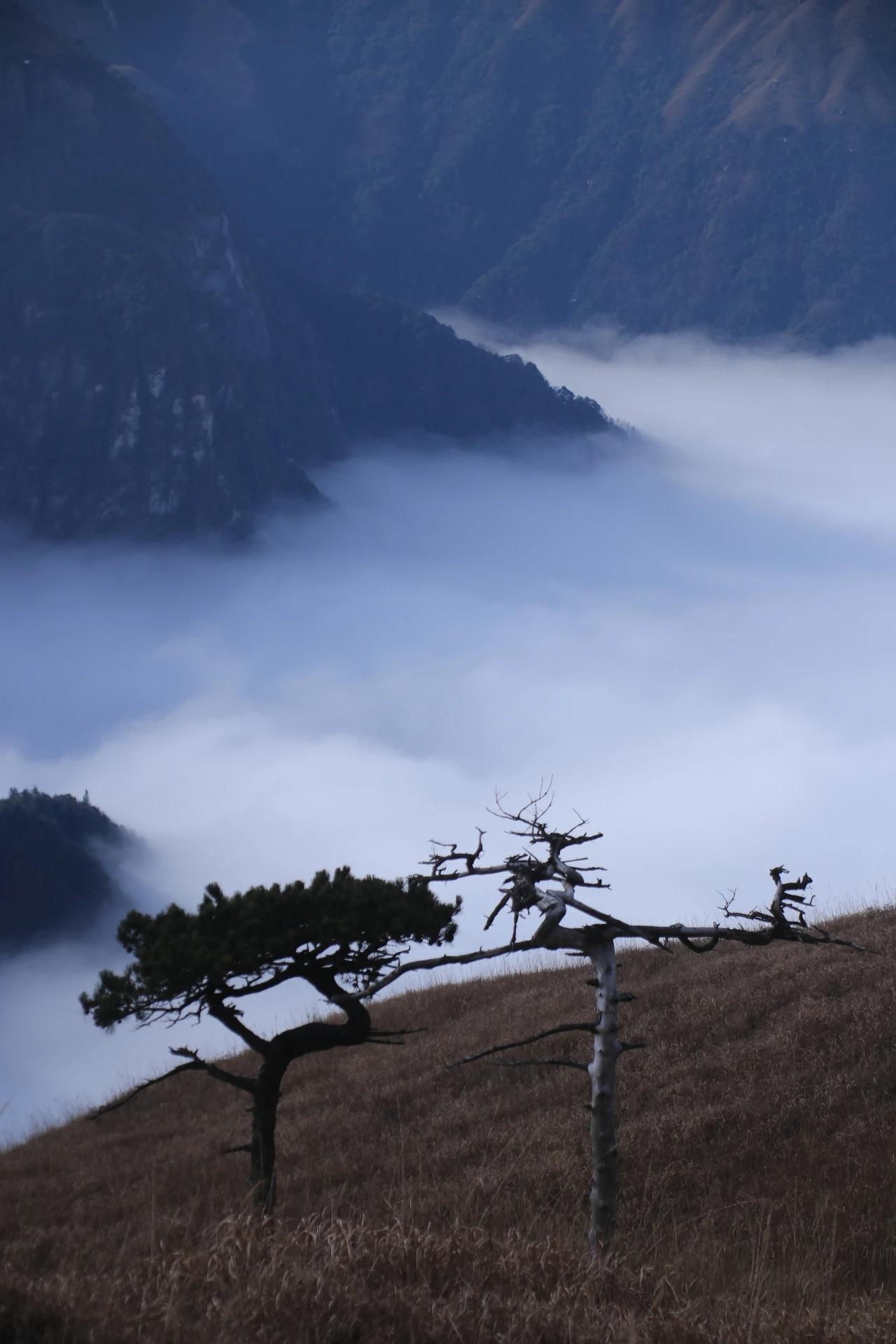 武功山白鹤峰图片