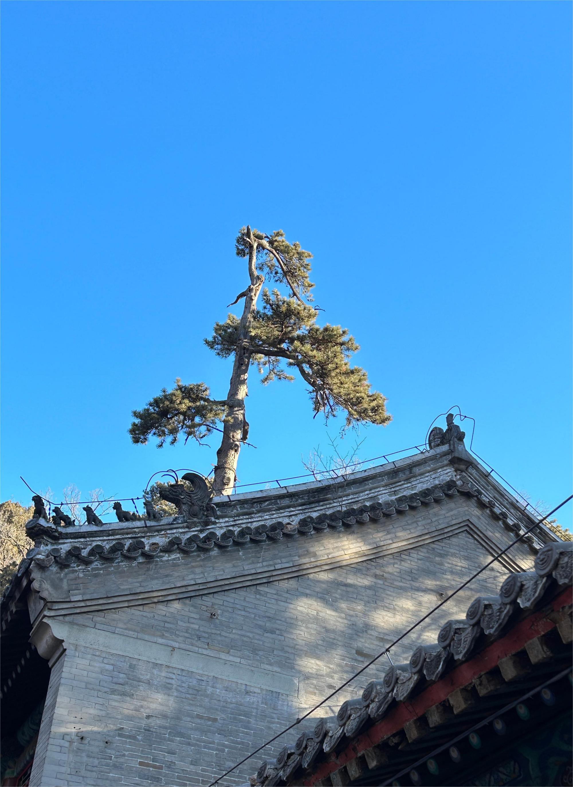 潭柘寺:千年古刹 潭柘寺位于北京市门头沟区潭柘山腰,是国家4a级景区.