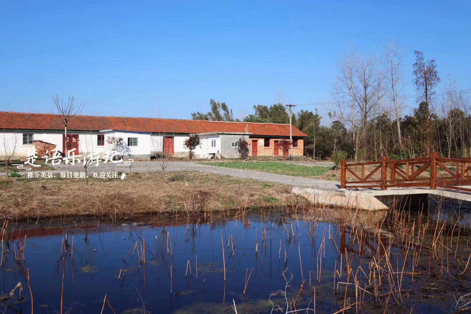 黄湖农场胡yb旧居位于河南省潢川县的桃林铺镇与黄湖农场之间,是一处