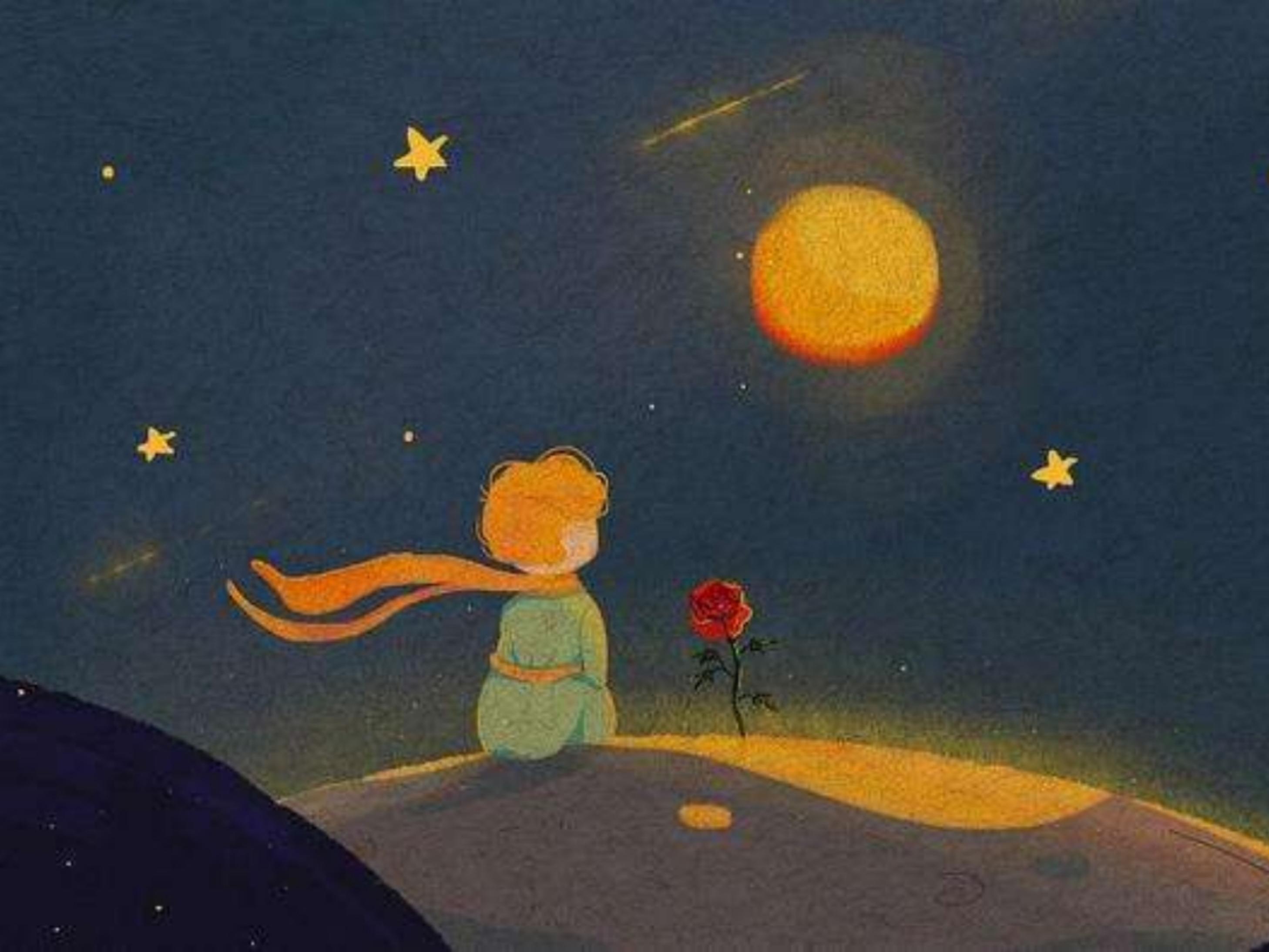 地球上的小星球:邂逅与距离的故事 小王子》中的人物都生活在一个只有