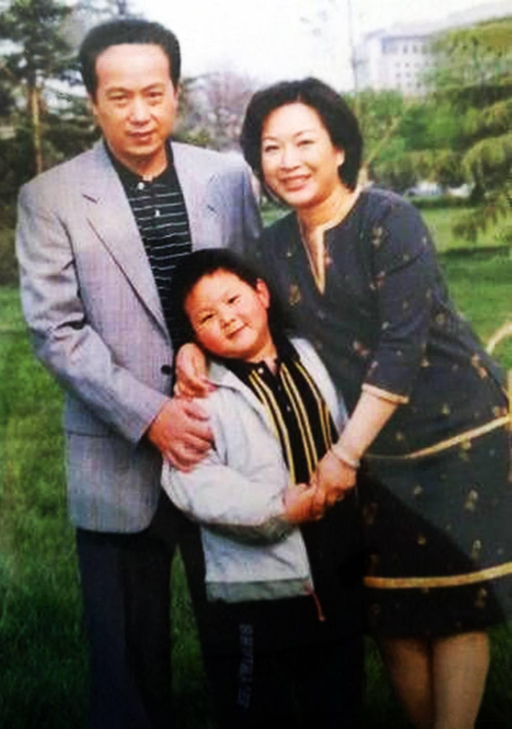 罗京离世多年,妻子刘继红再嫁富商:人生与情感的坚守与转变 罗京,这个