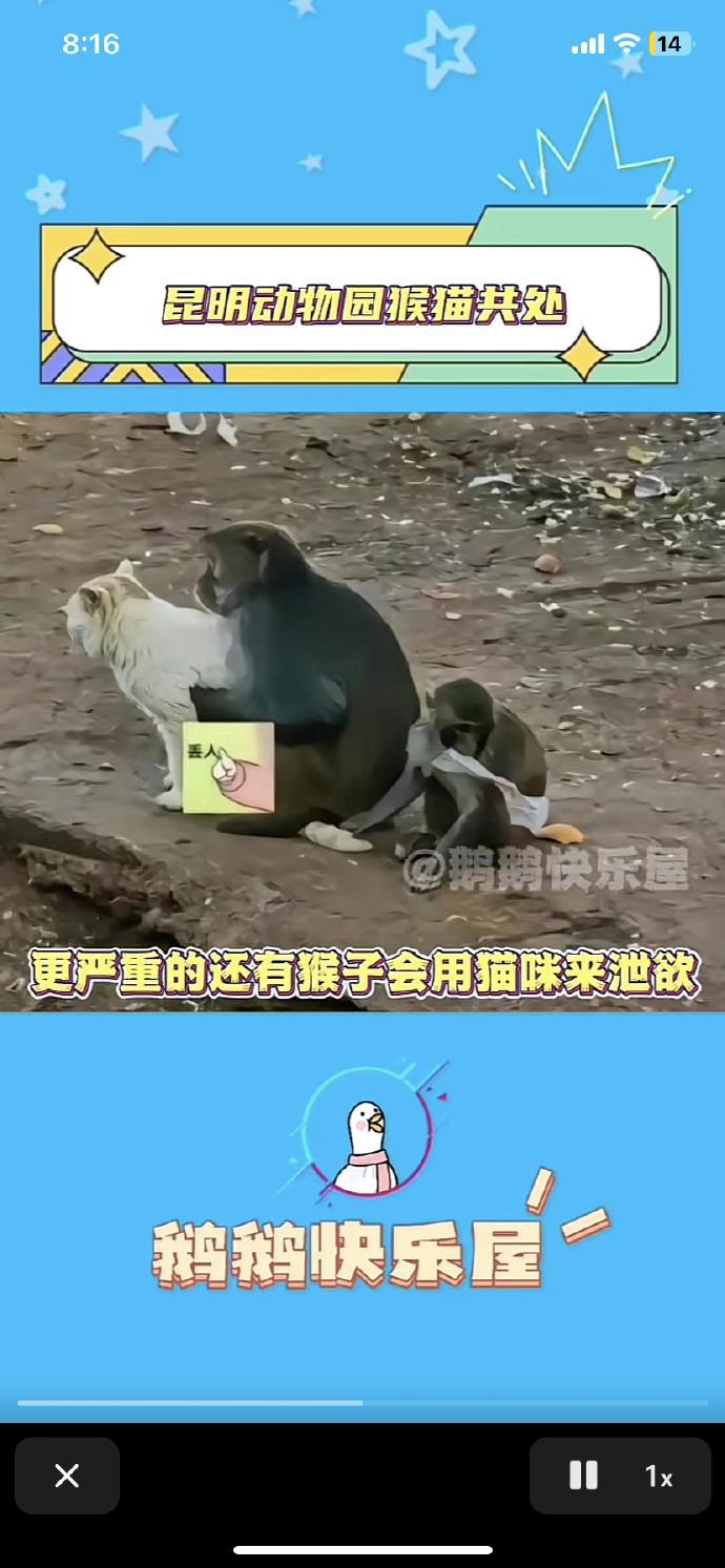 猫捉老鼠 法律视角下的捕食与反捕食 近期互联网上热传一则小猫与老鼠