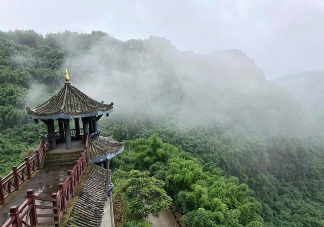 沐川竹海景点及其介绍图片