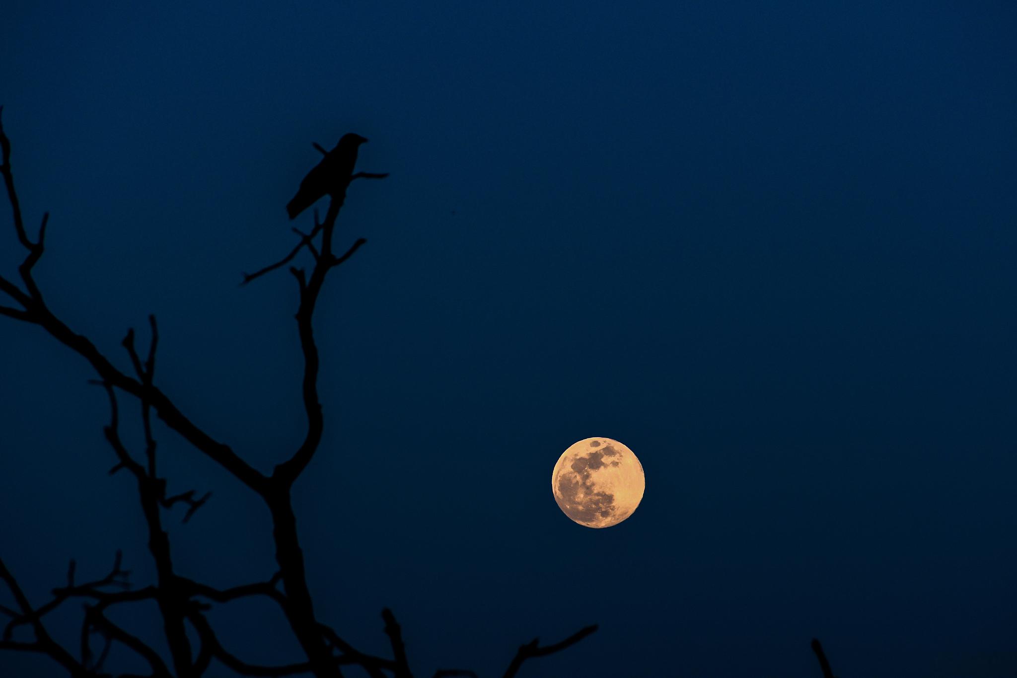 在古老而神秘的国度中,隐藏着一座形似新月的山脉——月亮山