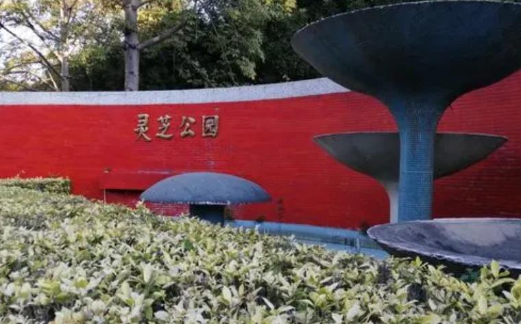 深圳宝安区有许多免费且充满魅力的公园,就来给大家揭秘几个吧 99