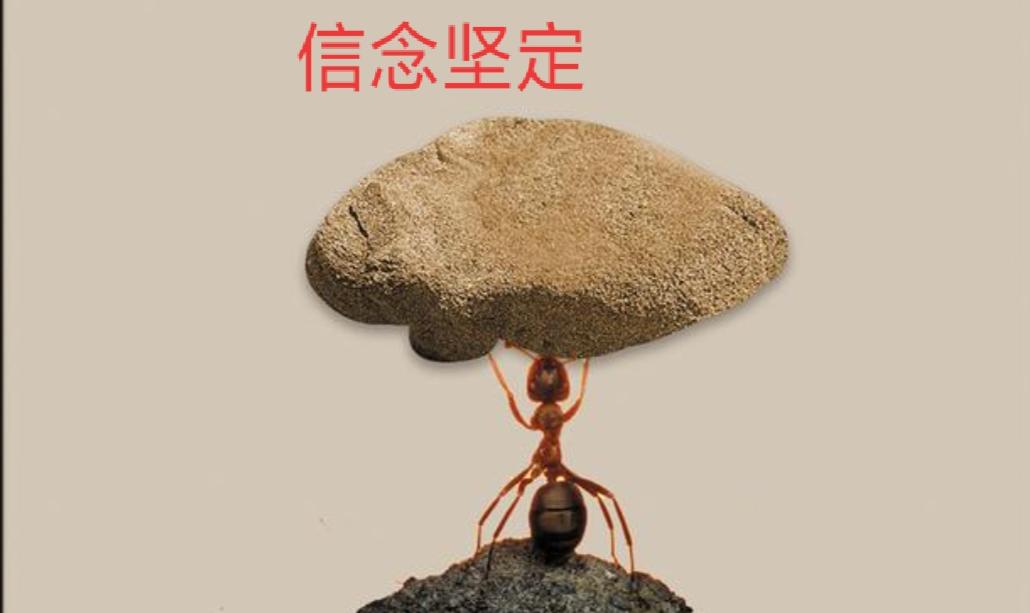 坚强的毅力,坚定的信念是什么(坚定的毅力,坚定的信念,必胜的信心)