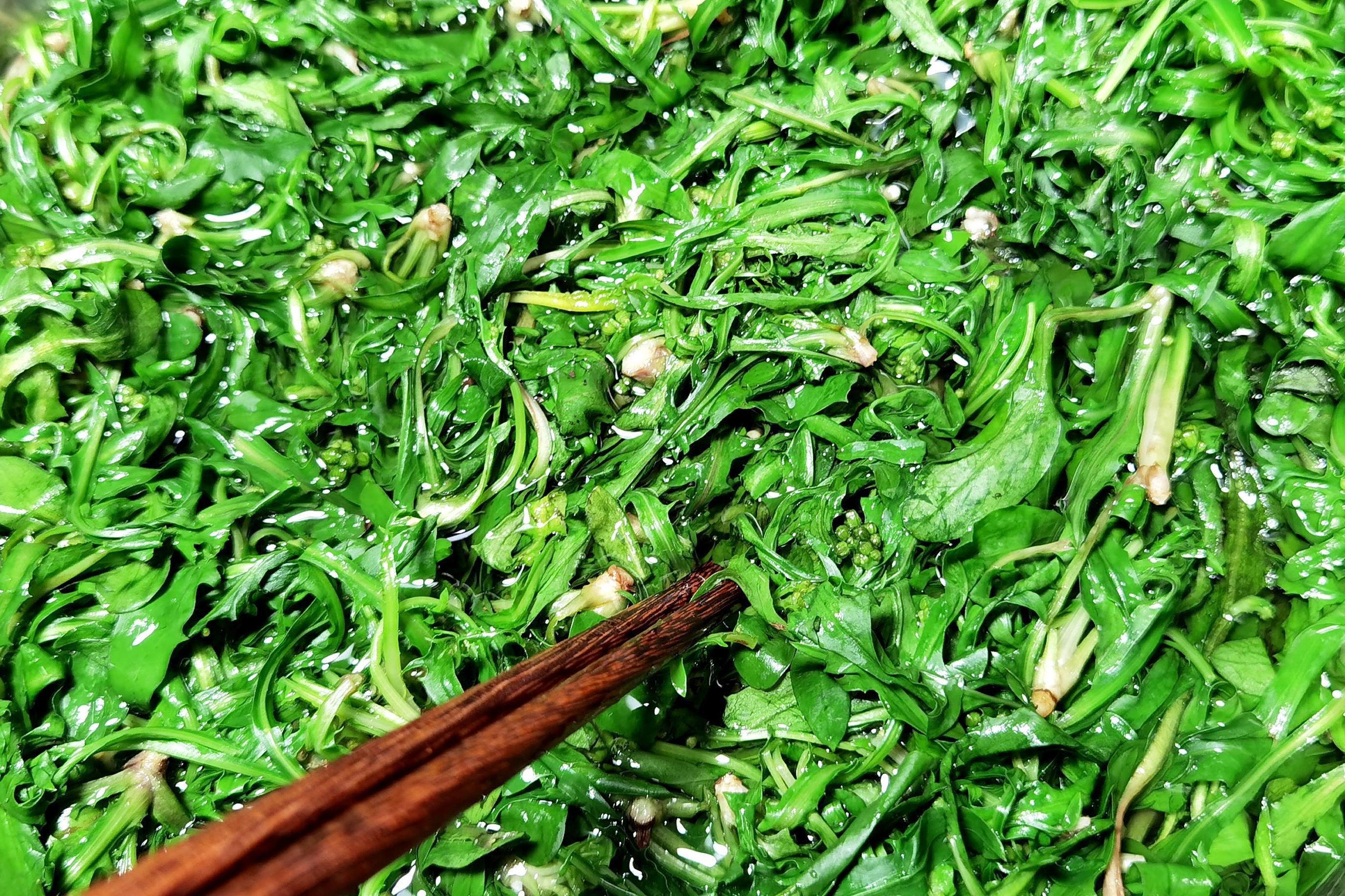 今天,我要给大家介绍一种生长在早春野地中的植物——野堇菜.