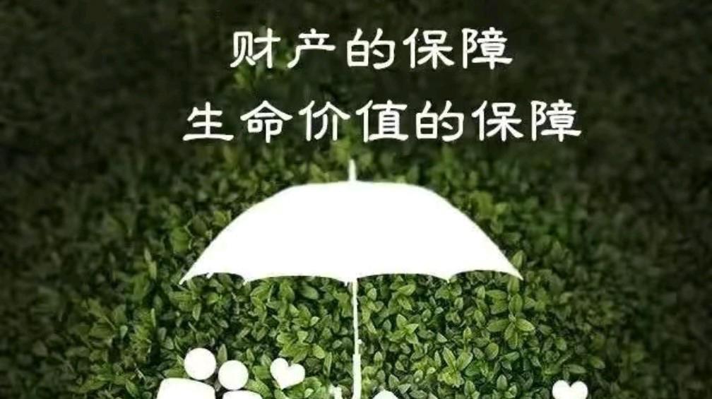 康宁终身保险二十年退本金(康宁定期保险到期能拿到本金吗)