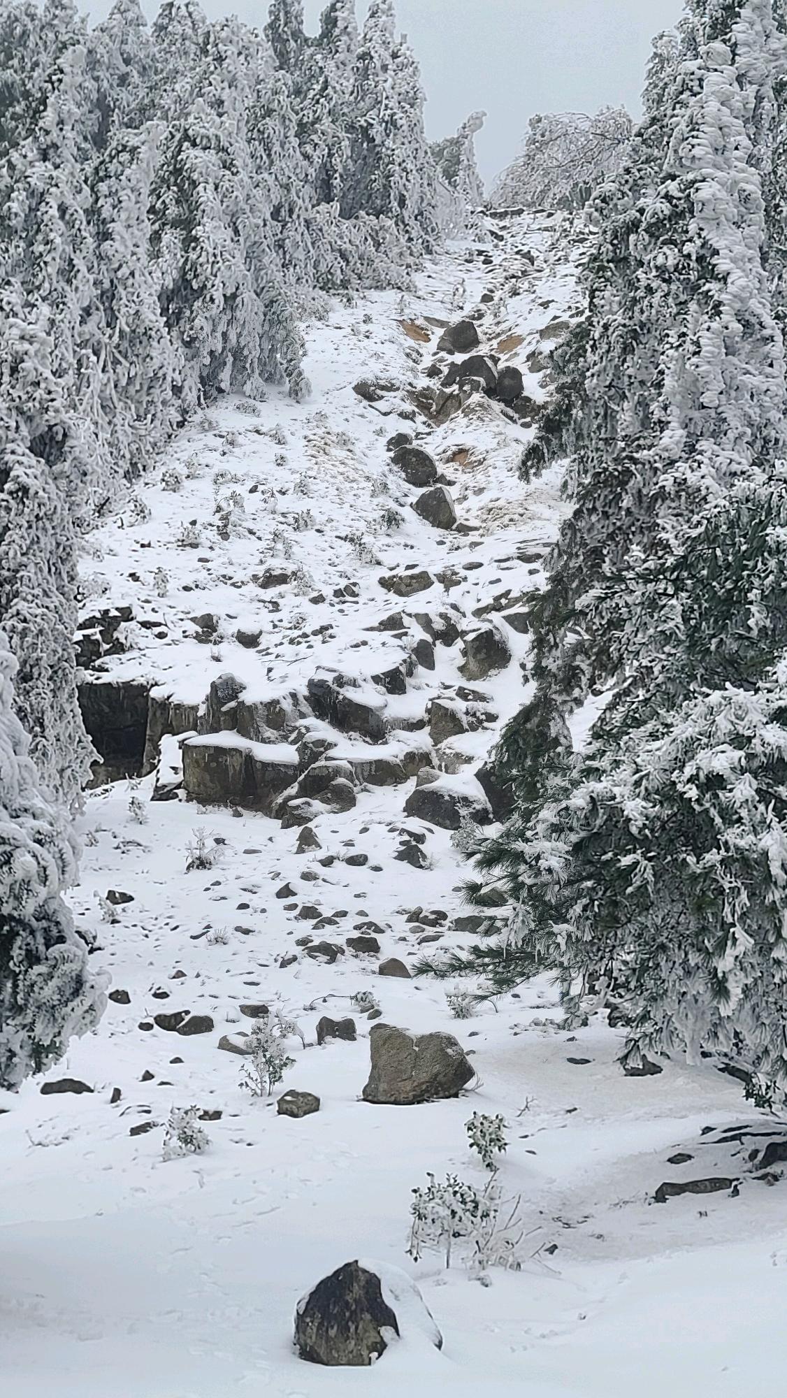 春日雪景:天岳雄关下的自然之美 春天的第一份惊喜,不在桃花的笑脸,不