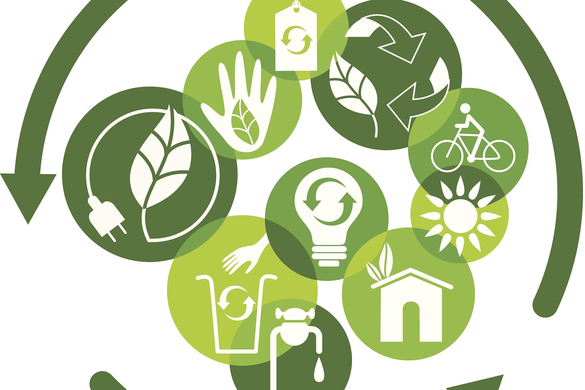 tfs引领化工行业绿色转型,推动可持续采购新典范 可持续采购在化工