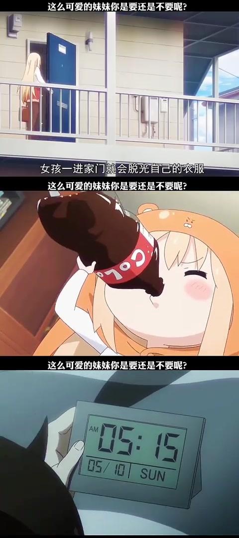 亲情超越任性,哥哥对优秀妹妹的深深宠爱 妹妹在家中任性撒娇,但她的