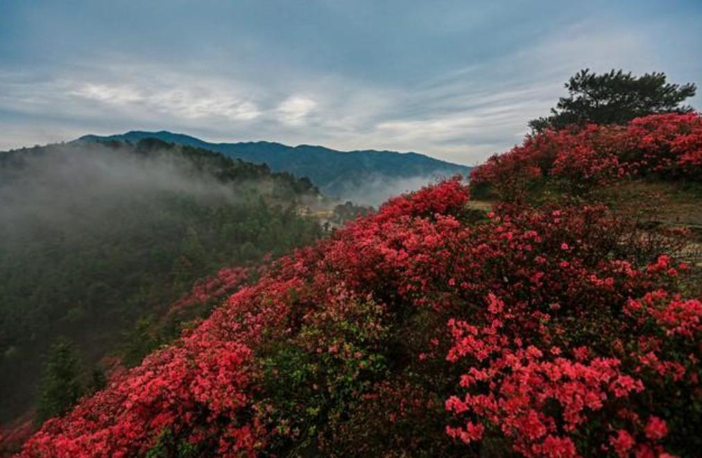木兰云雾山,是一颗被赞誉为国家珍宝的璀璨明珠,荣获5a级旅游景区的