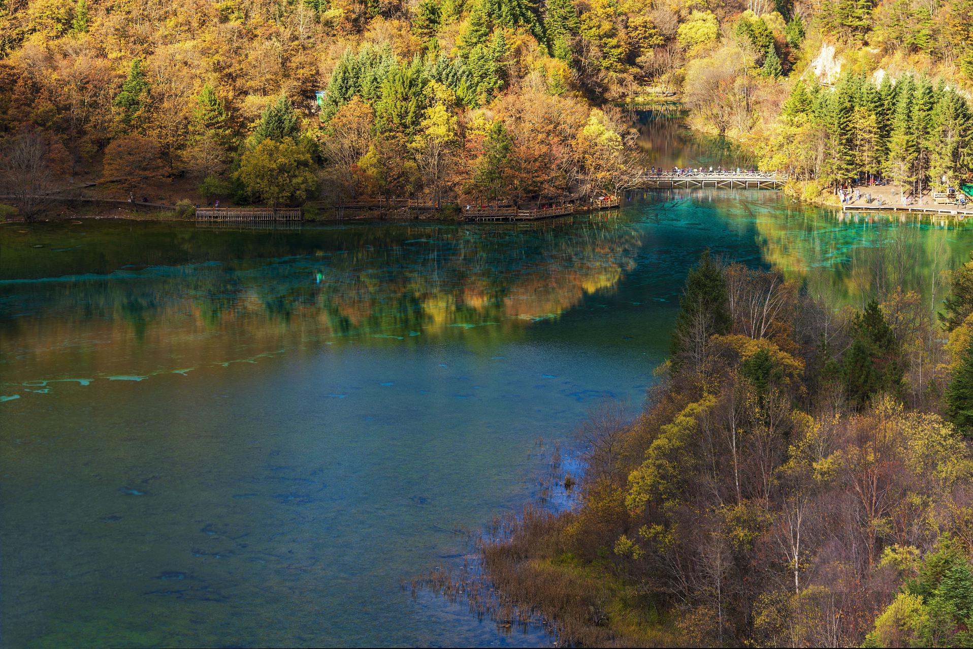 箭竹海是九寨沟景区内的一片湖泊,被郁郁葱葱的箭竹环绕,湖水清澈如
