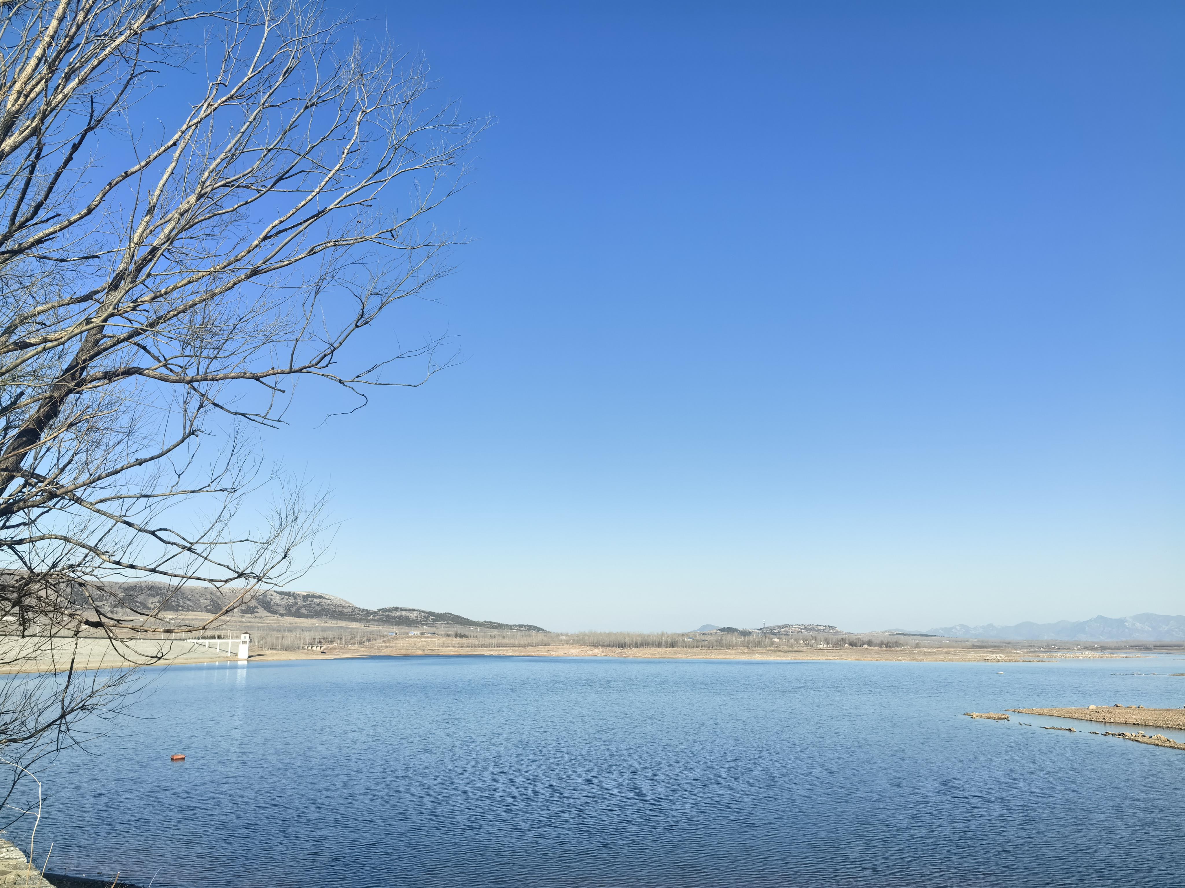 寻太昊伏羲根源之旅 在华夏源泉之地——山东泗水县泉林镇,我们将举办