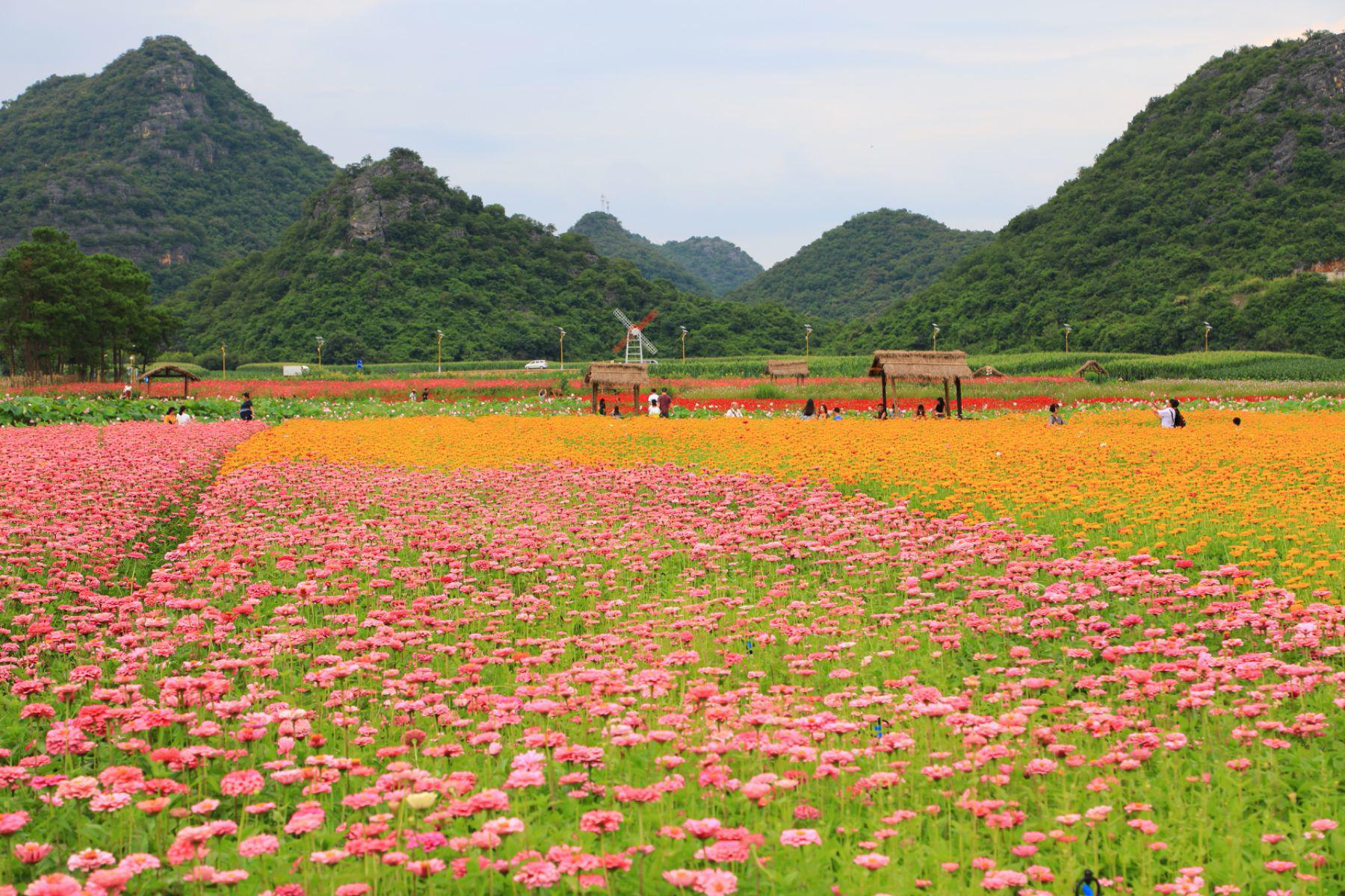 探秘文山丘北:小桂林的隐世之美 文山丘北,位于云南省文山壮族苗族