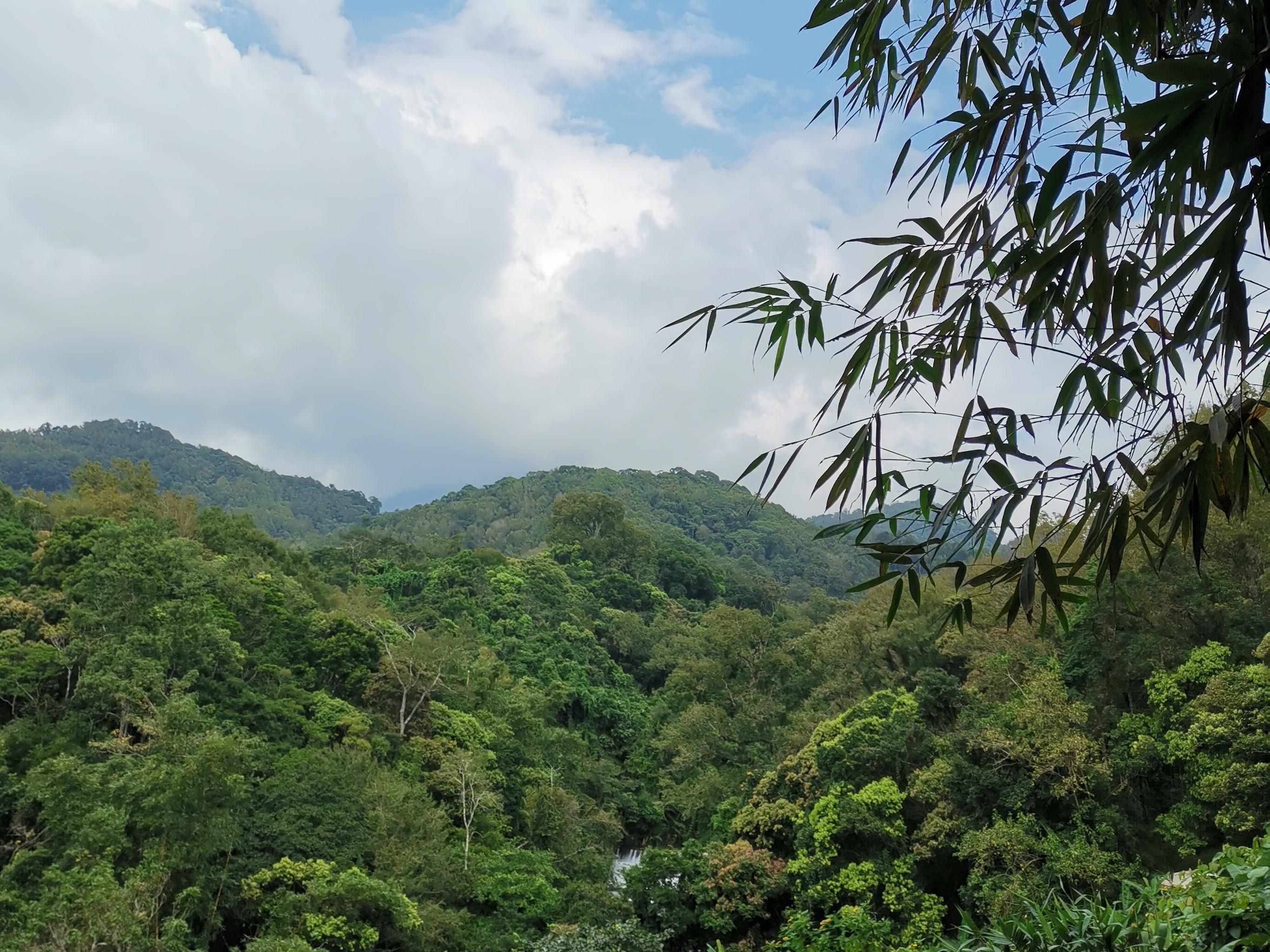 五指山,万泉河,红军精神,海南岛,这些都是我心中的挚爱.