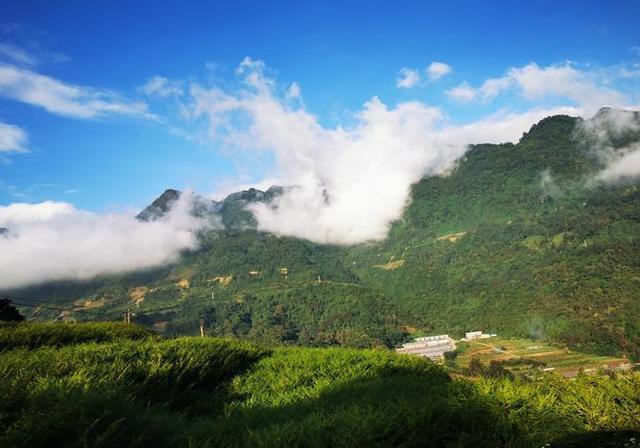麻栗坡老山,英雄与自然的交响乐章 麻栗坡老山,是一座充满历史和人文
