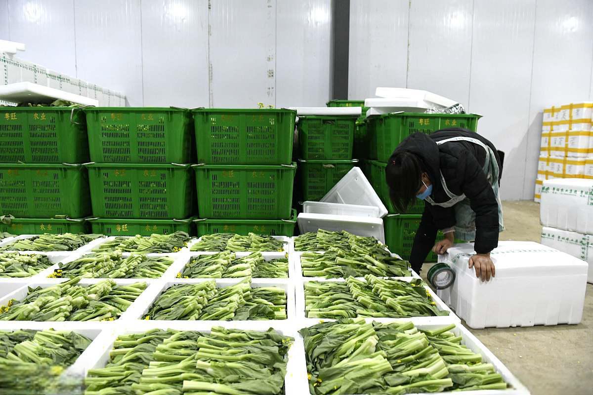 冷库在果蔬批发业:法律视角下的保鲜与盈利之道 冷库在水果蔬菜批发