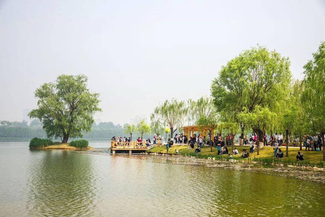 北湖生态公园:都市中的自然秘境 北湖生态公园,一个集自然,文化,休闲