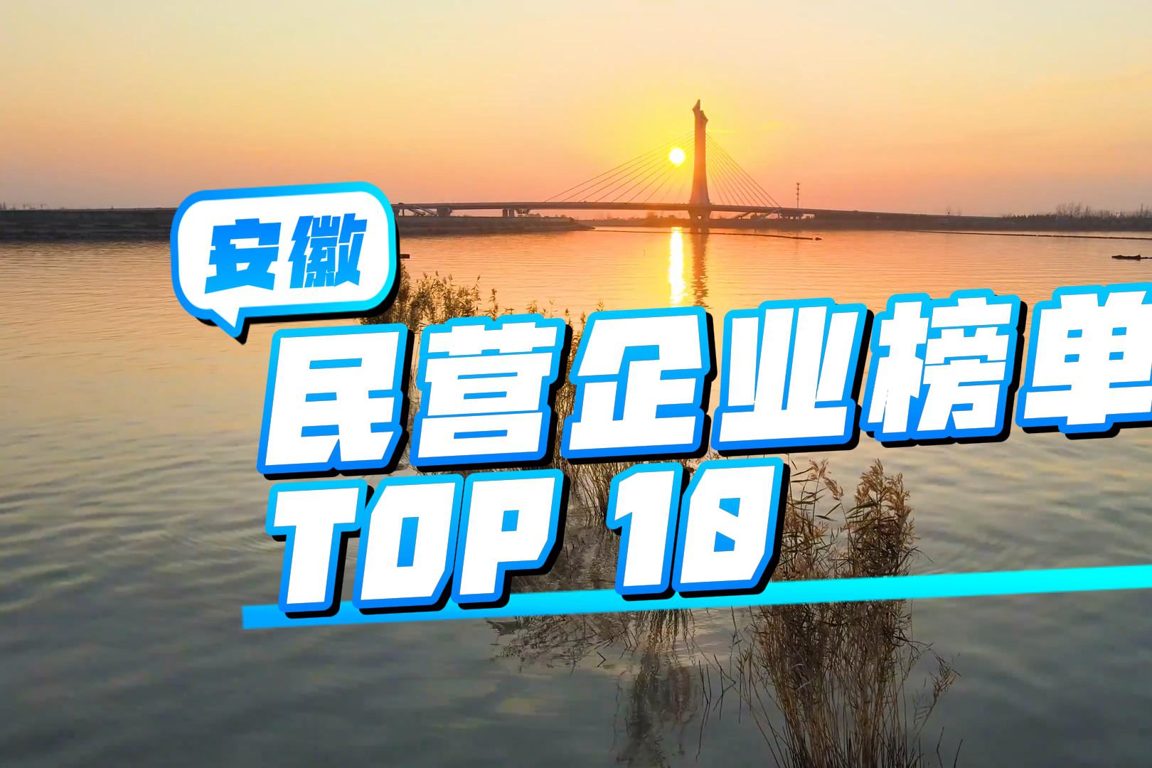 安徽民企榜单揭晓:文一集团等领衔,合肥占五席安徽省十大民营企业