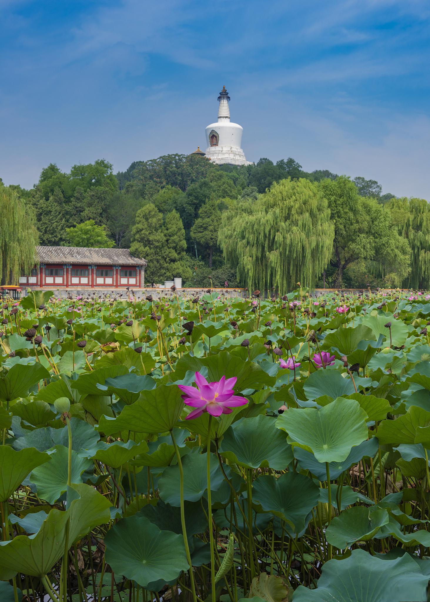 北京必看景点图片