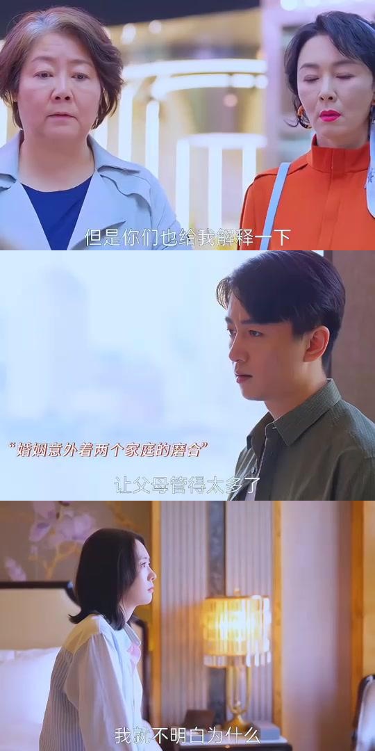 粉丝热议:真假包包背后的婚姻困境,小日子电视剧揭示人心真相!